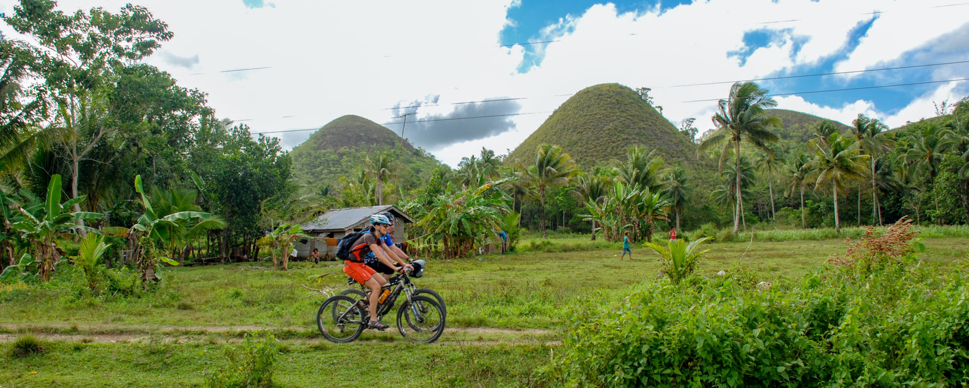 Runde Hügellandschaft