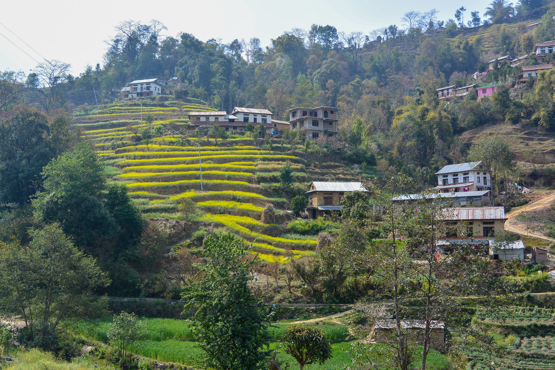 Reiseterrassen und Dörfer